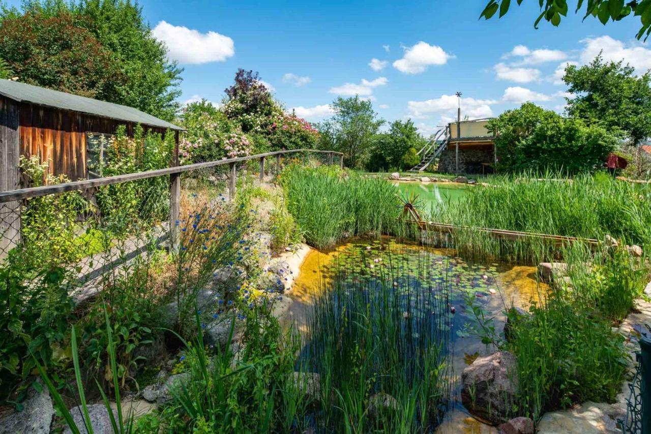 Landhotel Gut Wildberg Meissen Extérieur photo