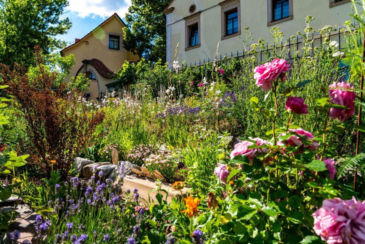 Landhotel Gut Wildberg Meissen Extérieur photo